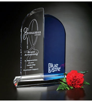 Brigadier Award 9-1/2"