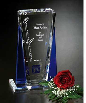 Sentinel Award 10-1/2"