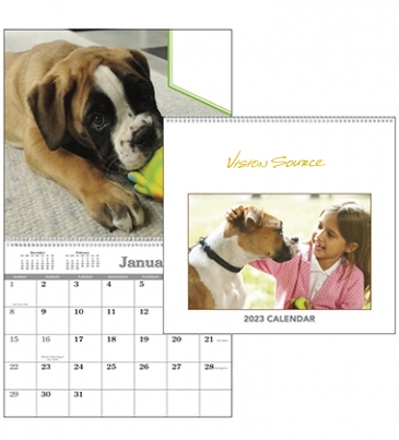 Custom Single Image Appointment