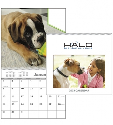 Custom Single Image Appointment