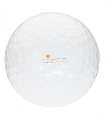 Titleist® Pro V1® Golf Ball Std Serv