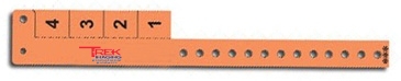 Multi-Tab Vinyl Wristband with 4 Tabs