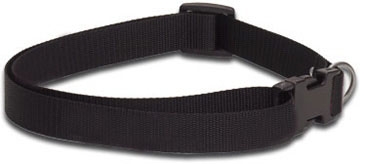 Dog Collar Large