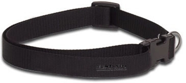 Dog Collar Large