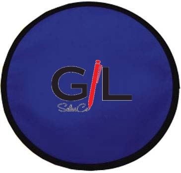 Flying Disc With Pouch