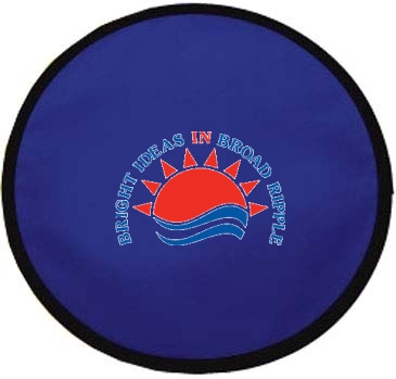 Flying Disc With Pouch