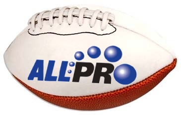 Mini Signature Football