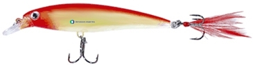 Rapala® X-Rap Size 10, Saltwater Fishing Lure