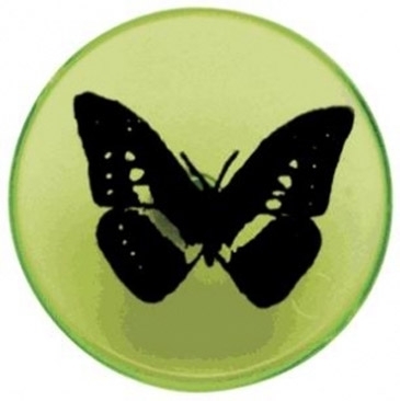 Plastic Ball Markers