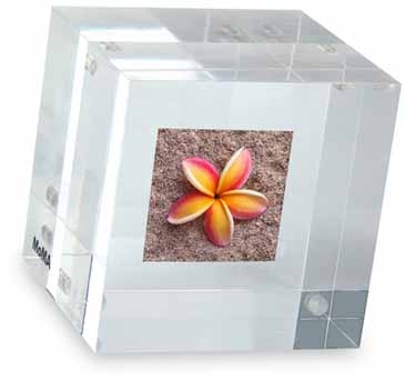 MOMA Double-Sided Photo Cube Paperweight