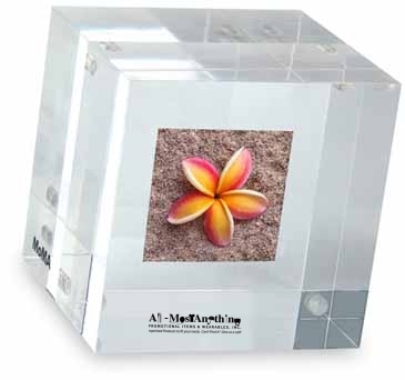 MOMA Double-Sided Photo Cube Paperweight