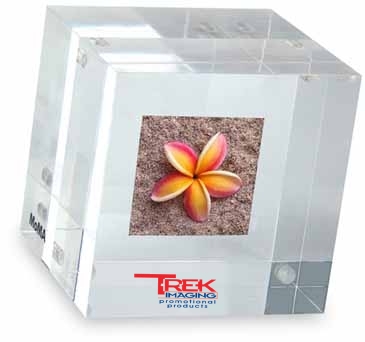 MOMA Double-Sided Photo Cube Paperweight