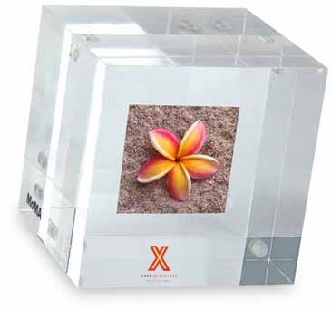 MOMA Double-Sided Photo Cube Paperweight