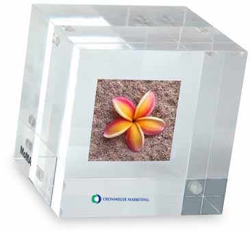 MOMA Double-Sided Photo Cube Paperweight