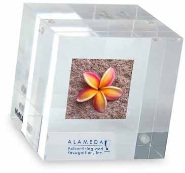 MOMA Double-Sided Photo Cube Paperweight