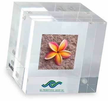 MOMA Double-Sided Photo Cube Paperweight