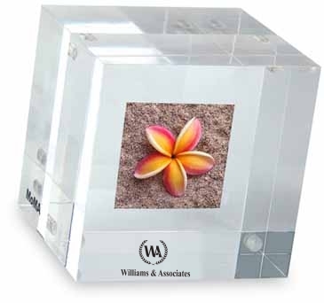 MOMA Double-Sided Photo Cube Paperweight