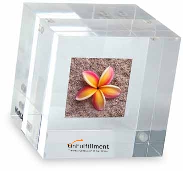 MOMA Double-Sided Photo Cube Paperweight