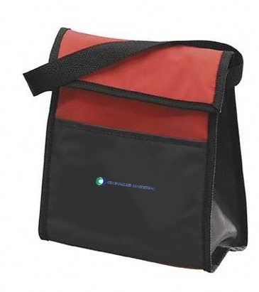 Blue Lunch Pak Fully Insulated