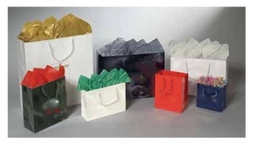 Eurotote Gloss 9x3.25x7-Colors