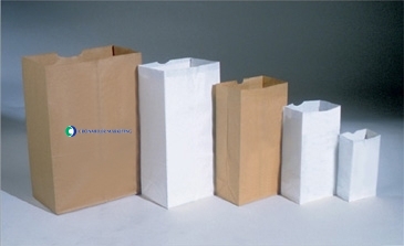 Paper Bag Tan Kraft 1/6 Barrel