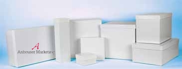High Wall 6x6 Lid