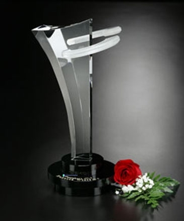 Innovation Award 12"