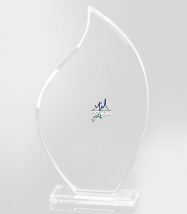 11" Spectacular Flame Award