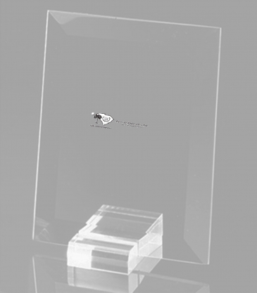 6" Rectangular Spectral Award