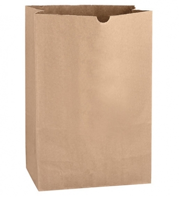 Natural Kraft 1/6 bbl. Large SOS Grocery Bag