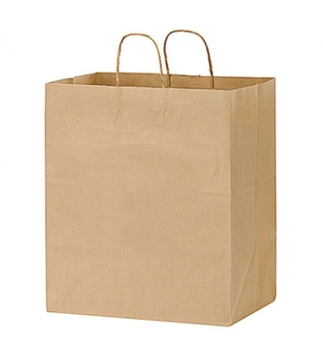 Natural Kraft Paper Take-Out Twisted Paper Handle Shopper
