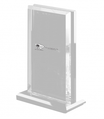 8 1/2" Parallaxx© Monolith Award