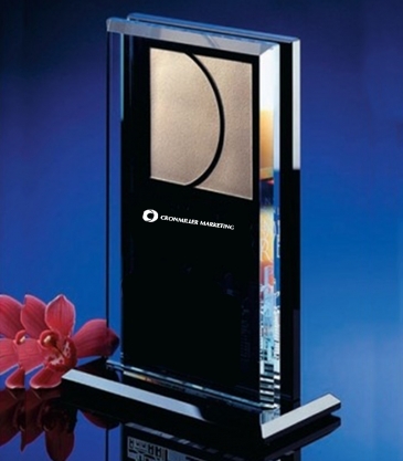 7 1/2" Parallaxx© Monolith Award