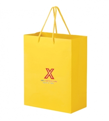 Matte Laminated Euro Tote Bag |13x5x10|