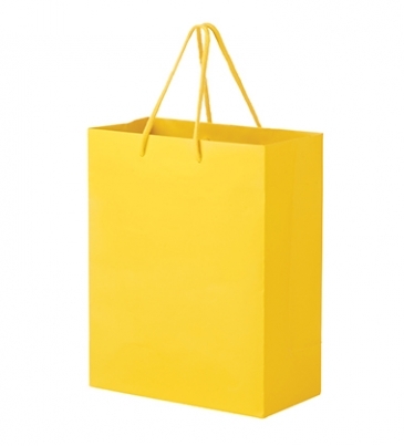 Matte Laminated Euro Tote Bag |13x5x10|