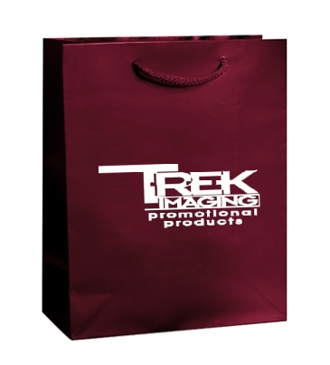 Gloss Laminated Euro Tote Bag |8x4x10|