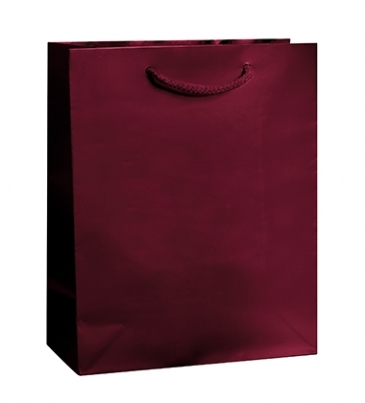 Gloss Laminated Euro Tote Bag |8x4x10|