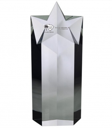 10" Optimaxx Mega-Star Award