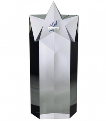10" Optimaxx Mega-Star Award