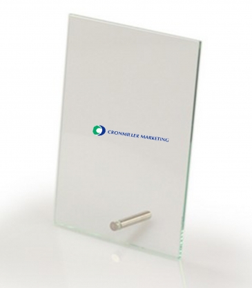 Vertical Rectangular Award with Pin (8"x10")