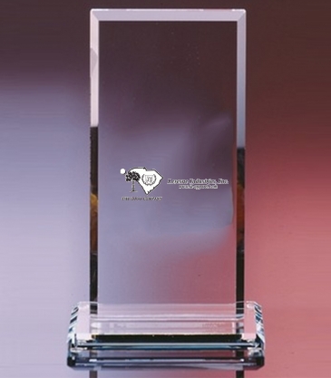 8 1/2" Clear Crystal Monolith