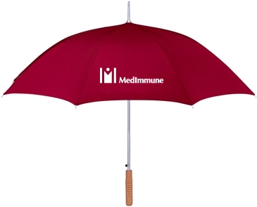 Stick Umbrella
