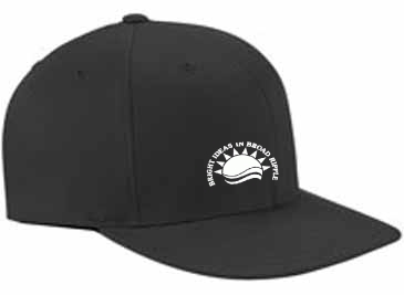 Flexfit Adult Pro Baseball On-Field Cap