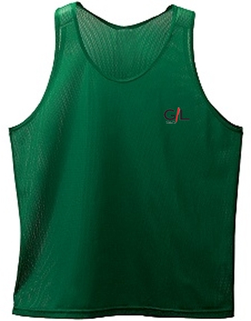 Mini Mesh Singlet