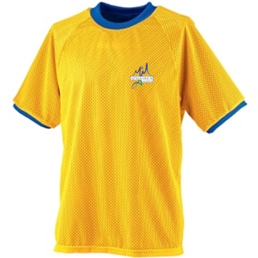 Reversible Practice Jersey