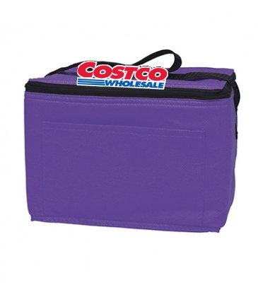 Non-Woven Six Pack Cooler Bag_Silk-Screen