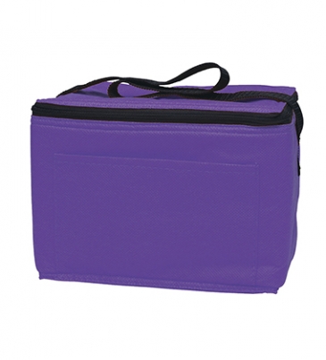 Non-Woven Six Pack Cooler Bag_Silk-Screen