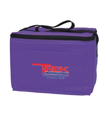Non-Woven Six Pack Cooler Bag_Silk-Screen
