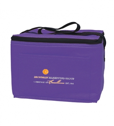 Non-Woven Six Pack Cooler Bag_Silk-Screen
