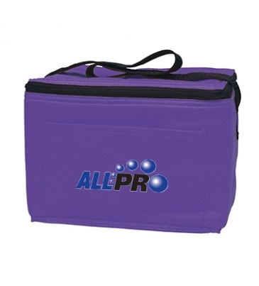 Non-Woven Six Pack Cooler Bag_Silk-Screen